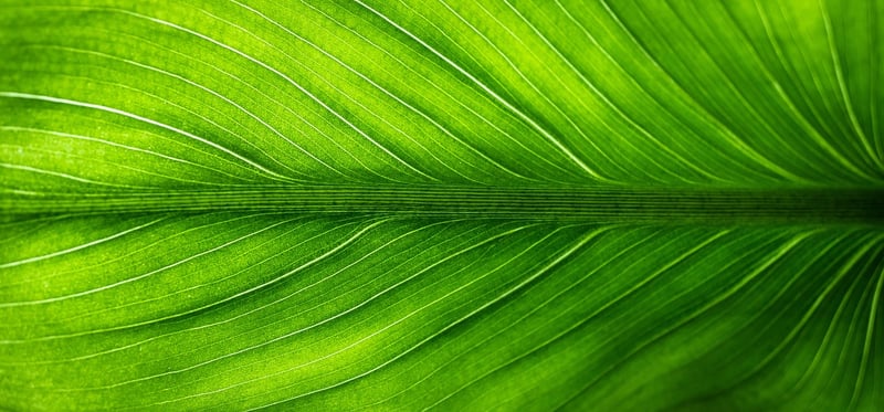 Eco-friendly crafts